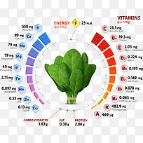 矢量蔬菜-空若网 矢量蔬菜-空若网
