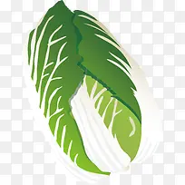 °×²ËpngʸÁ¿ÔªËØ-¿ÕÈôÍø °×²ËpngʸÁ¿ÔªËØ-¿ÕÈôÍø