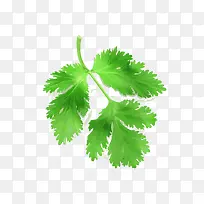 ÇÛ²Ë-¿ÕÈôÍø ÇÛ²Ë-¿ÕÈôÍø