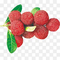 ˮ����֦-������