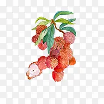 彩绘荔枝插画-空若网 彩绘荔枝插画-空若网