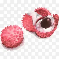 水彩绘荔枝矢量素材-空若网 水彩绘荔枝矢量素材-空若网