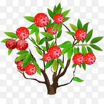 ��֦��-������