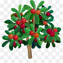 ��֦��-������