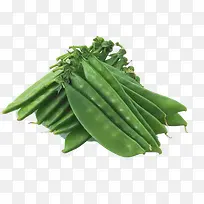 蔬菜 豆角-空若网 蔬菜 豆角-空若网