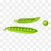 �����߲˶���-������