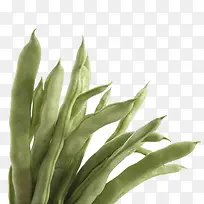 ��ɫ�߲˶���-������