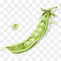 手绘豌豆矢量图-空若网 手绘豌豆矢量图-空若网