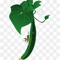 �ƹ�-������