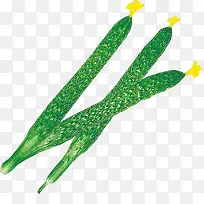 �ƹ�-������