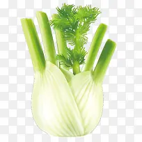 芹菜-空若网 芹菜-空若网