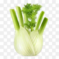 芹菜-空若网 芹菜-空若网