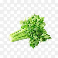 �۲�-������