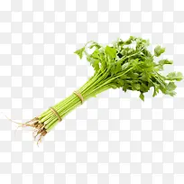 绿色蔬菜芹菜捆绑-空若网 绿色蔬菜芹菜捆绑-空若网