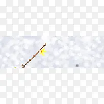 ʥ���ڱ���-������