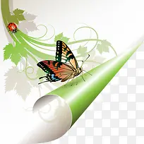 ���쾫���۽Ǻ�����֦-������