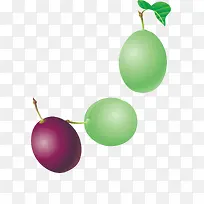 李子png矢量素材-空若网 李子png矢量素材-空若网