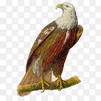 手绘雕-空若网 手绘雕-空若网