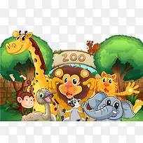 动物世界-空若网 动物世界-空若网