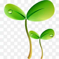 绿色发芽-空若网 绿色发芽-空若网