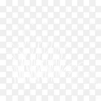 白色梦幻小草植物-空若网 白色梦幻小草植物-空若网