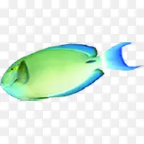 手绘彩色扁平化鱼儿-空若网 手绘彩色扁平化鱼儿-空若网