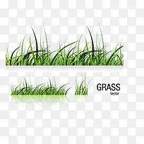 矢量绿草-空若网 矢量绿草-空若网