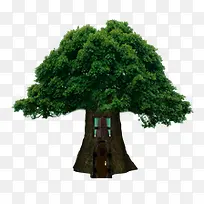 大树树屋-空若网 大树树屋-空若网