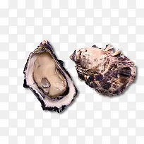 美味可口生蚝-空若网 美味可口生蚝-空若网