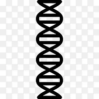 DNA ͼ��-������