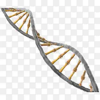 生物科技-空若网 生物科技-空若网