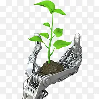 植物科学-空若网 植物科学-空若网