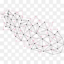 ��Լ��ѧ�о�����ʸ��ͼ-������