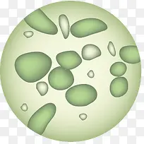 细菌png矢量素材-空若网 细菌png矢量素材-空若网