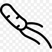 病毒图标-空若网 病毒图标-空若网