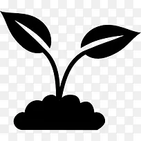 叶的植物图标-空若网 叶的植物图标-空若网