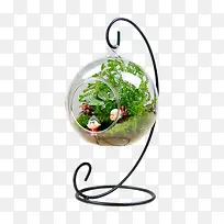 苔藓微景盆景素材-空若网 苔藓微景盆景素材-空若网