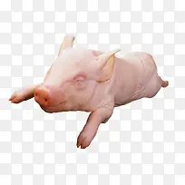 食物猪肉-空若网 食物猪肉-空若网