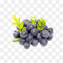 水果黑加仑叶子-空若网 水果黑加仑叶子-空若网