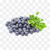 �ڼ���ˮ����Ҷ-������