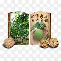 ������-������