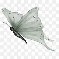 蝴蝶透明翅膀蝴蝶浅红色翅膀蝴蝶-空若网 蝴蝶透明翅膀蝴蝶浅红色翅膀蝴蝶-空若网