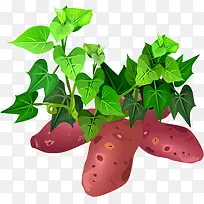 ����-������