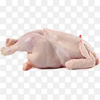 食物 美食 鸡肉-空若网 食物 美食 鸡肉-空若网