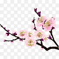 ����ڴ�����ɫ����-������