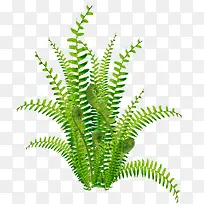 草-空若网 草-空若网