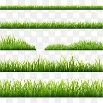 矢量绿草-空若网 矢量绿草-空若网
