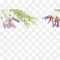 ����ز�֮޹�²�-������