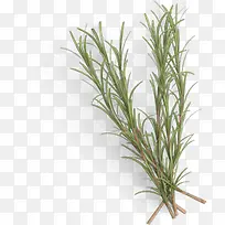 Â̲Ýͼ°¸ËزÄ-¿ÕÈôÍø Â̲Ýͼ°¸ËزÄ-¿ÕÈôÍø