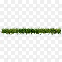 地上小草素材-空若网 地上小草素材-空若网